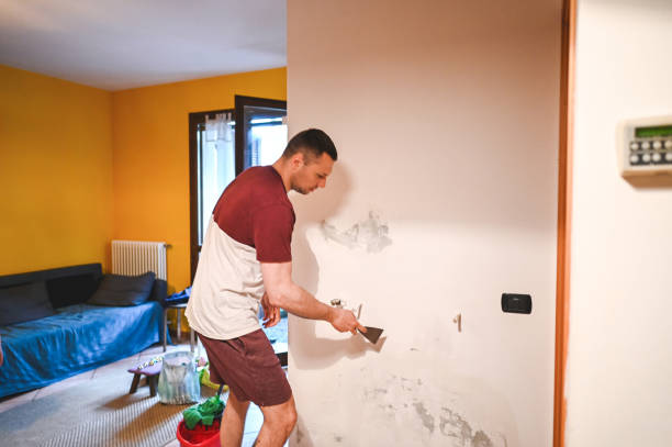 Best DIY Mold Remediation Support Services in Gillette, NJ